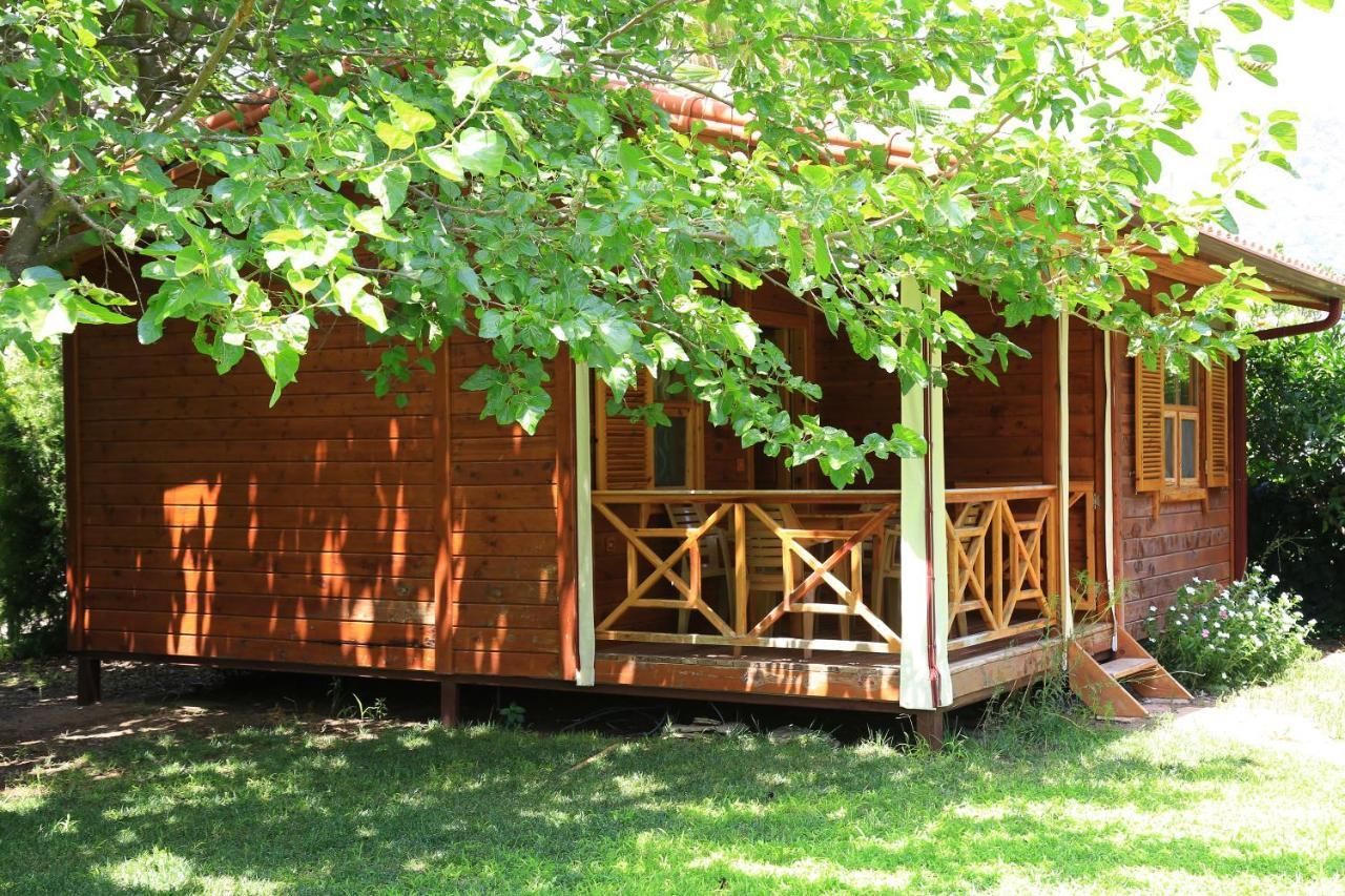 Tunays Pansiyon Bed & Breakfast ชิลารึ ห้อง รูปภาพ
