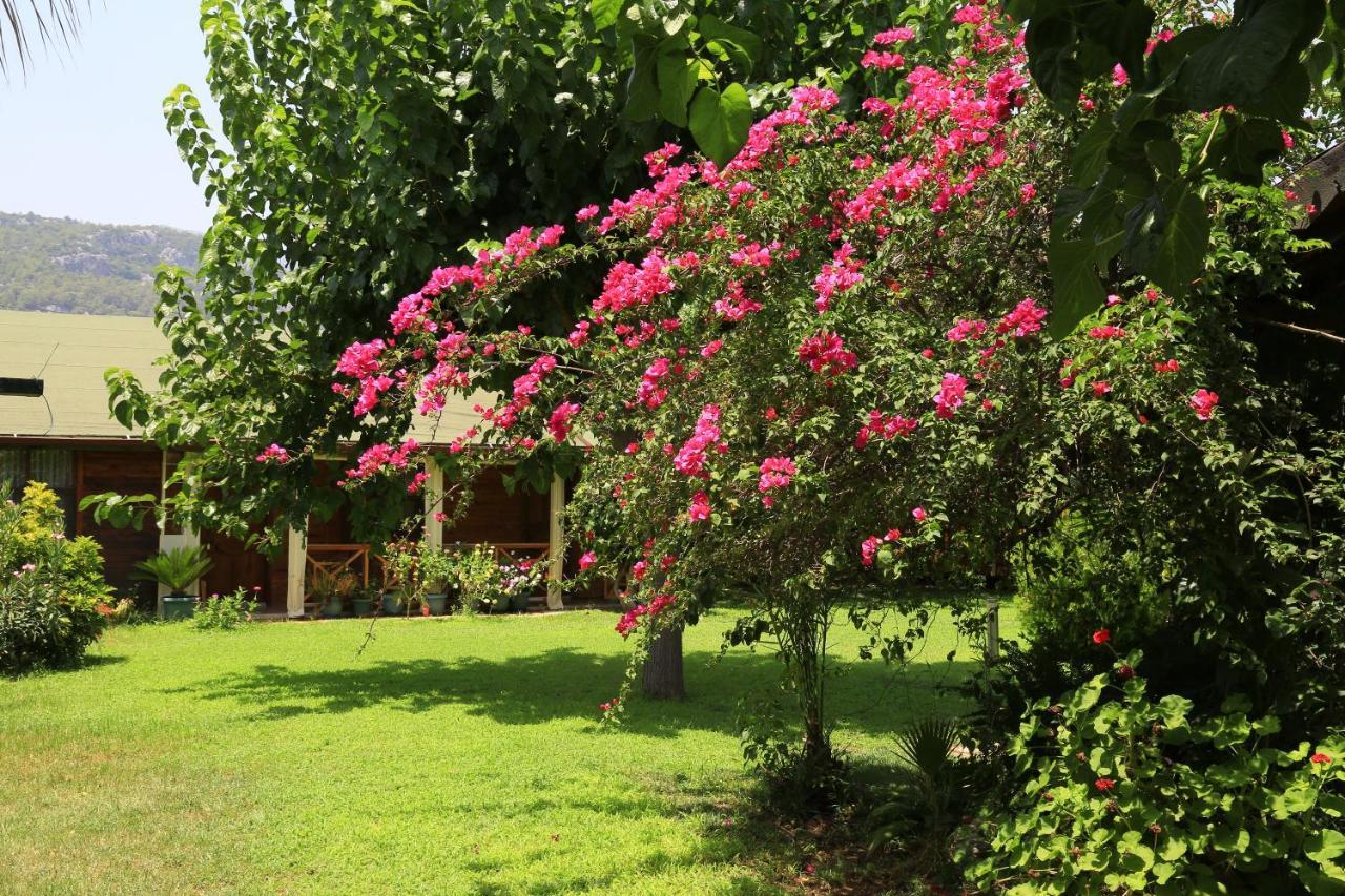Tunays Pansiyon Bed & Breakfast ชิลารึ ภายนอก รูปภาพ