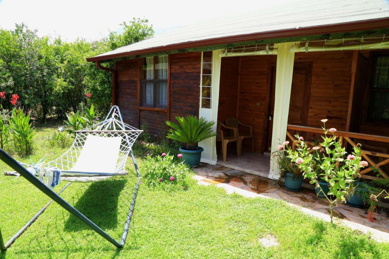 Tunays Pansiyon Bed & Breakfast ชิลารึ ห้อง รูปภาพ